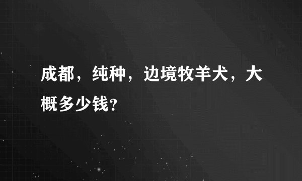 成都，纯种，边境牧羊犬，大概多少钱？