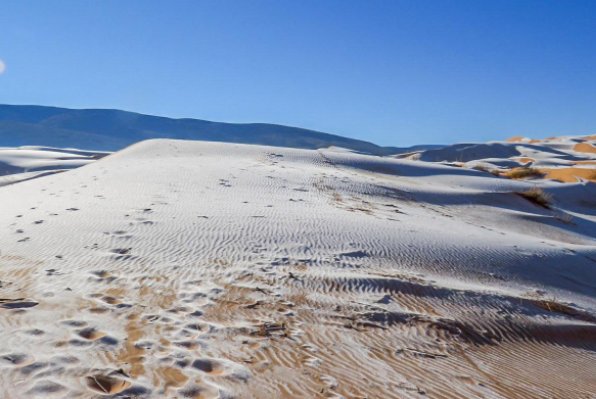 骆驼在撒哈拉沙漠雪中漫步,这种罕见是景象会是一个好兆头吗?