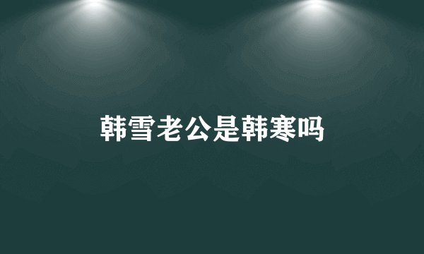 韩雪老公是韩寒吗