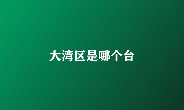 大湾区是哪个台