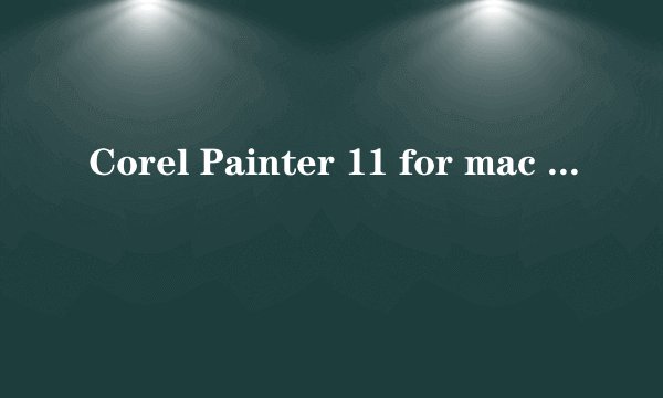 Corel Painter 11 for mac 序列号总是不对 网友帮忙算一下