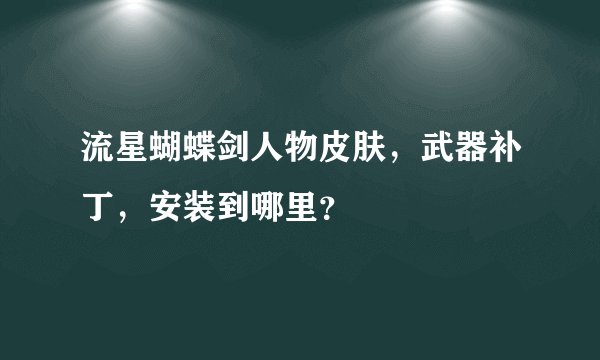 流星蝴蝶剑人物皮肤，武器补丁，安装到哪里？