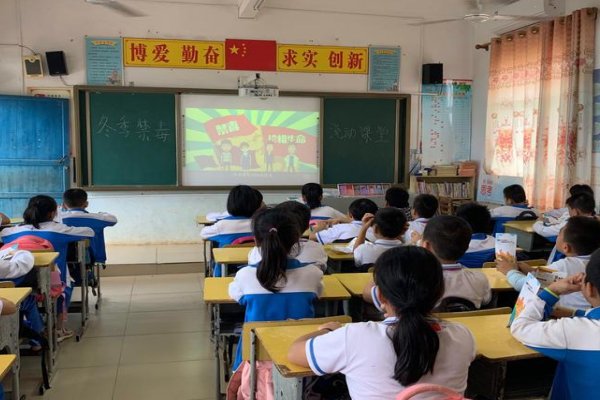 静观其变打一生肖动物