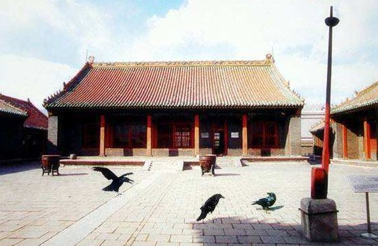 乌鸦对满族人有何意义?为何他们喜欢在皇宫养乌鸦?