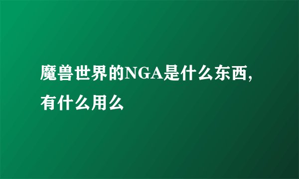 魔兽世界的NGA是什么东西,有什么用么
