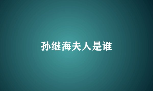 孙继海夫人是谁