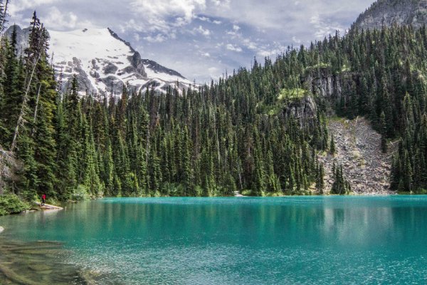 一呼百应什么意思