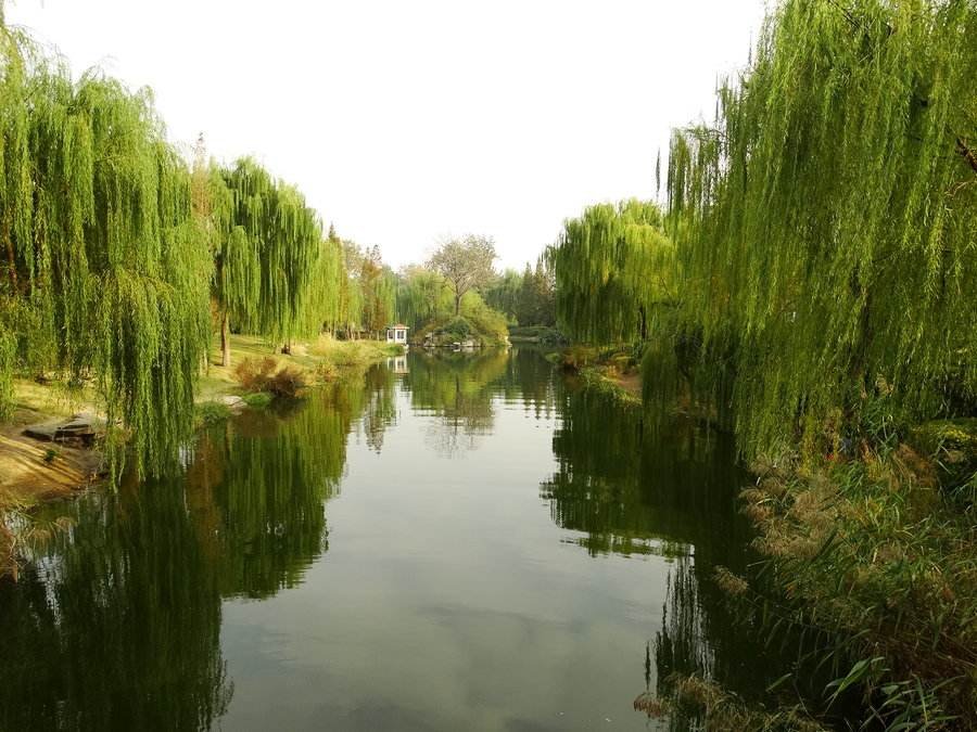 四面荷花三面柳，一城山色半城湖。出自哪诗、谁写的以及诗意