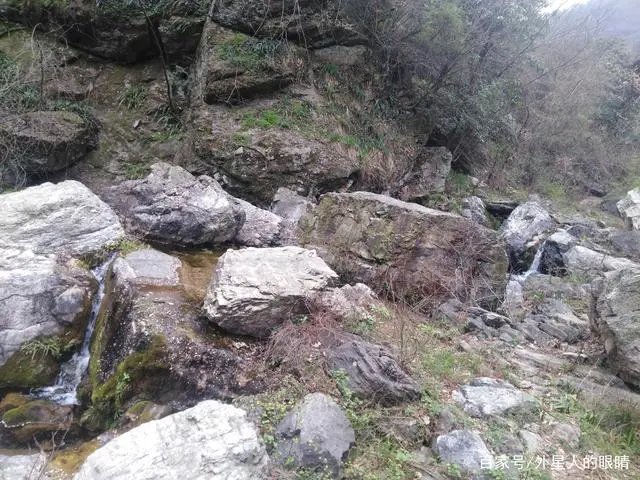 深山幽谷的生肖是什么