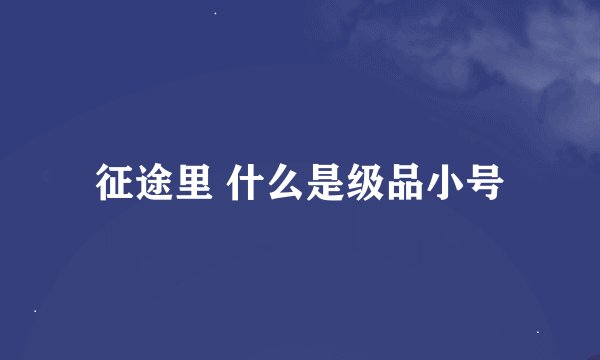 征途里 什么是级品小号