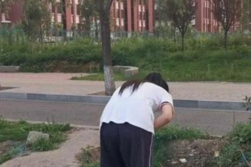 学生腹泻涉事供餐企业注册地为酒店,这公司为何能一举中标?