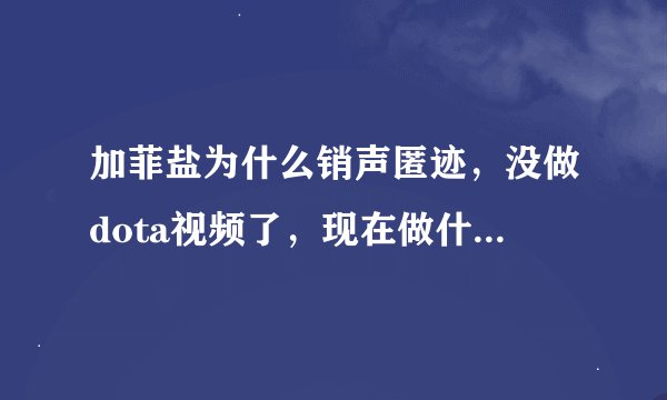 加菲盐为什么销声匿迹，没做dota视频了，现在做什么工作？
