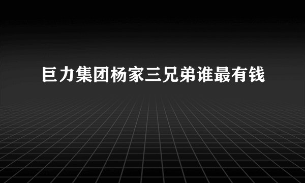 巨力集团杨家三兄弟谁最有钱