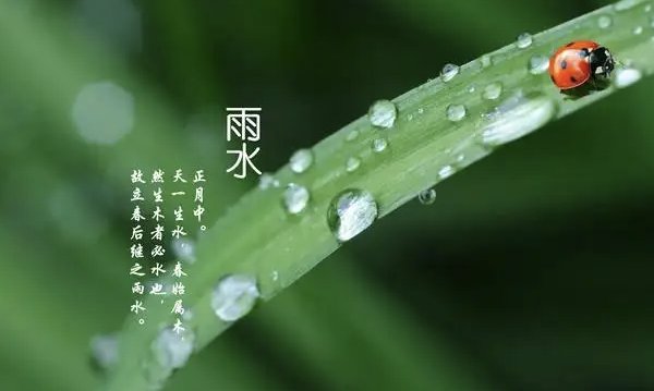 rian英语怎么说