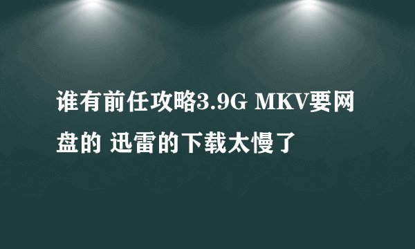 谁有前任攻略3.9G MKV要网盘的 迅雷的下载太慢了