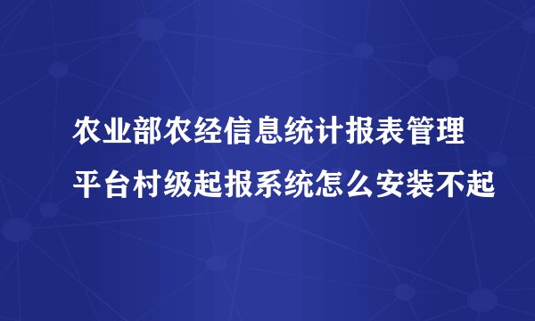 农业部农经信息统计报表管理平台村级起报系统怎么安装不起
