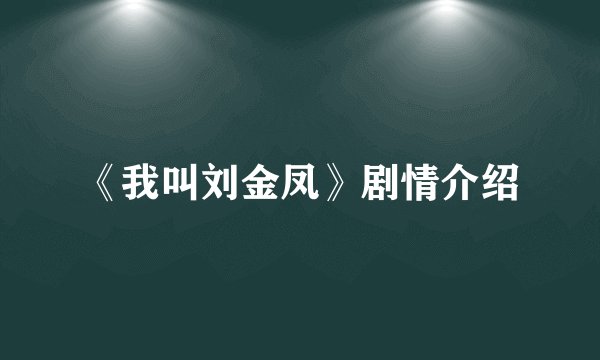 《我叫刘金凤》剧情介绍