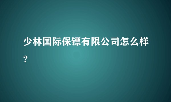 少林国际保镖有限公司怎么样？