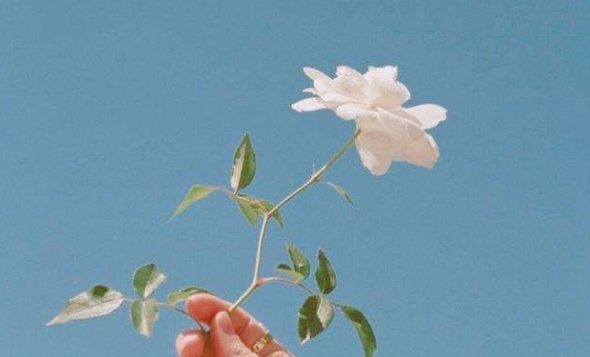 有句话谁也不只到意外和什么先来