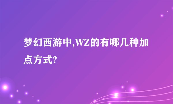 梦幻西游中,WZ的有哪几种加点方式?