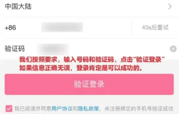 苹果手机怎么上p站？