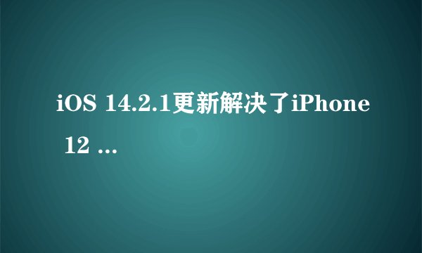 iOS 14.2.1更新解决了iPhone 12 mini哪些具体问题？