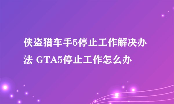 侠盗猎车手5停止工作解决办法 GTA5停止工作怎么办