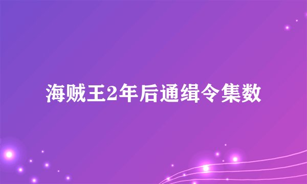 海贼王2年后通缉令集数