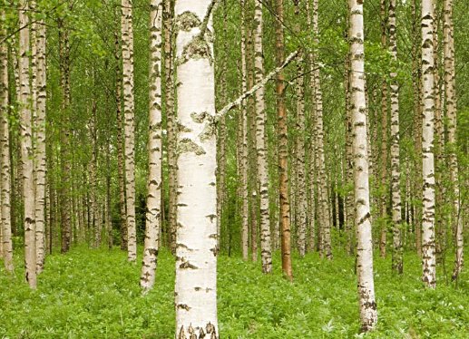 1119是什么意思？