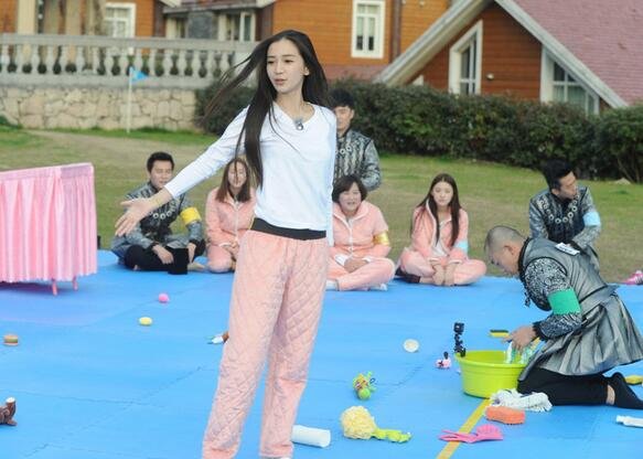 疯狂甲壳虫的简介