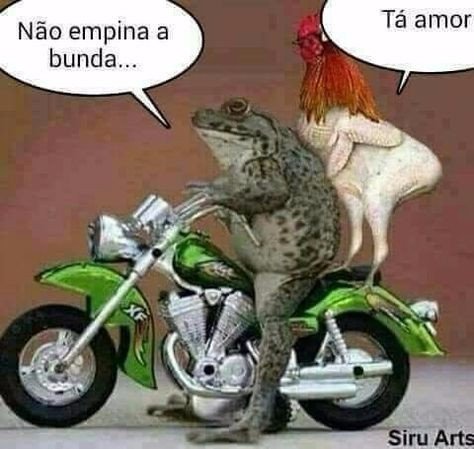 谁有这张图片？高清的发给我谢谢！