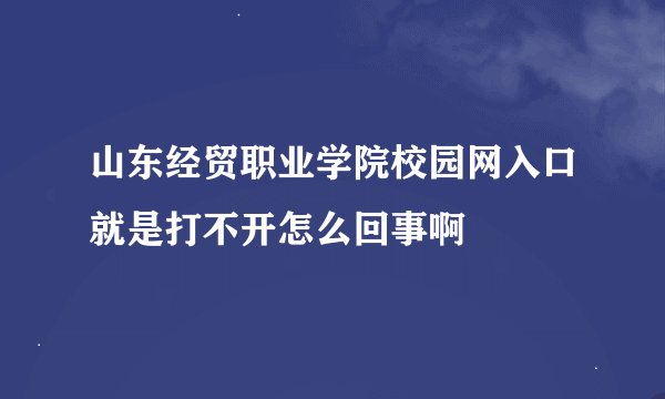 山东经贸职业学院校园网入口就是打不开怎么回事啊