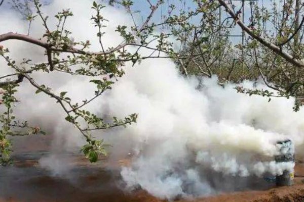 下周江苏可能会出现霜冻,霜冻的危害有哪些?