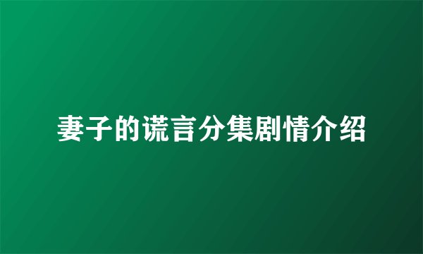 妻子的谎言分集剧情介绍