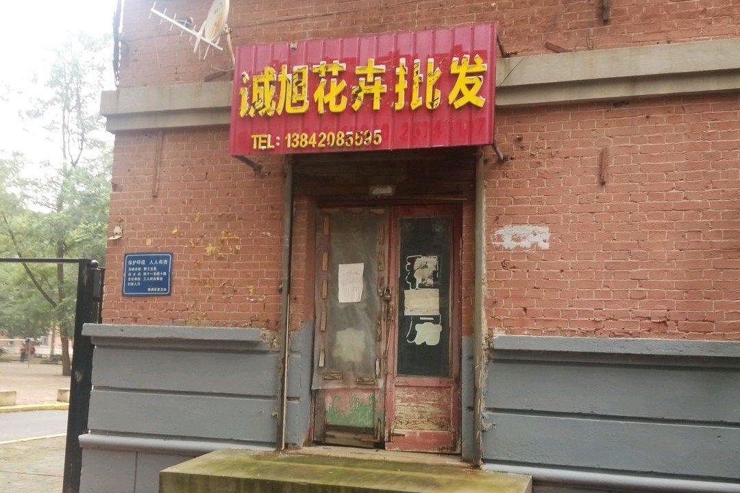 沈阳最便宜的花卉市场在哪里？