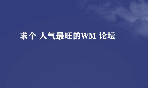 求个 人气最旺的WM 论坛