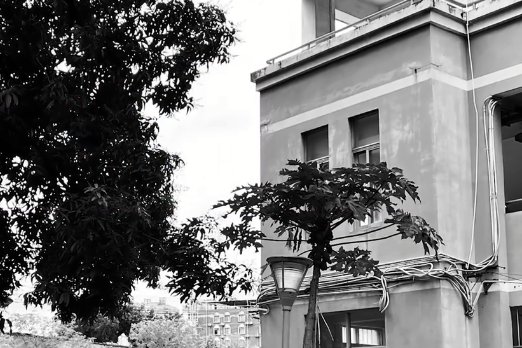 广西大学一女生坠楼身亡,事发的原因是什么?