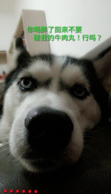 坚挺先生的Angel小档案