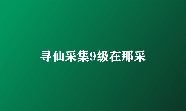 寻仙采集9级在那采