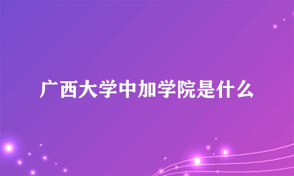 广西大学中加学院是什么