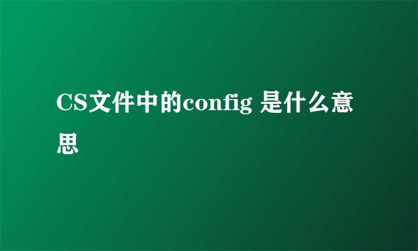 CS文件中的config 是什么意思