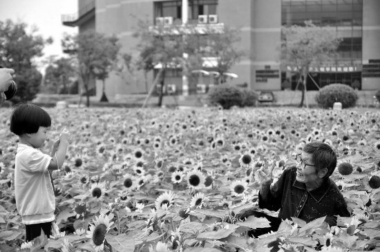 祖孙情的详细剧情