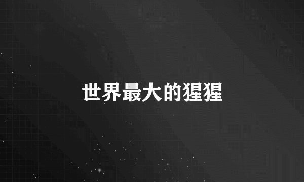 世界最大的猩猩