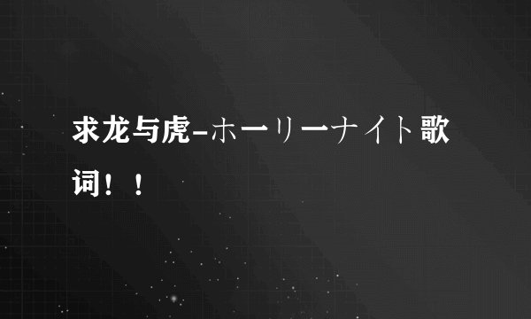 求龙与虎-ホ一リ一ナイト歌词！！