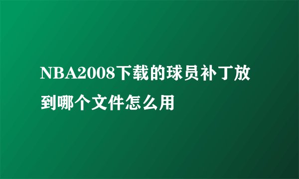 NBA2008下载的球员补丁放到哪个文件怎么用