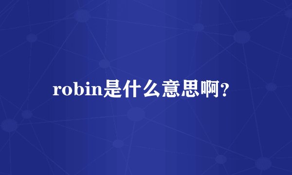 robin是什么意思啊？