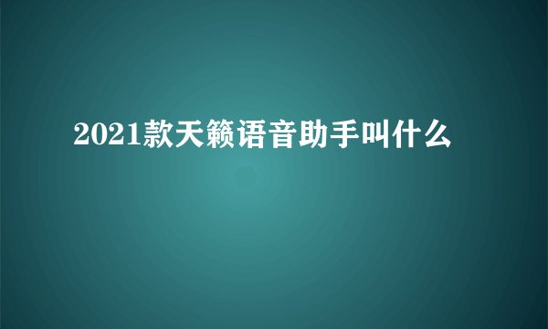 2021款天籁语音助手叫什么