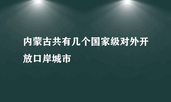 内蒙古共有几个国家级对外开放口岸城市
