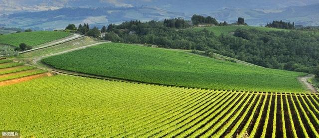 “翁卷”二字读作什么?