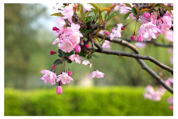 春色破晓什么意思啊